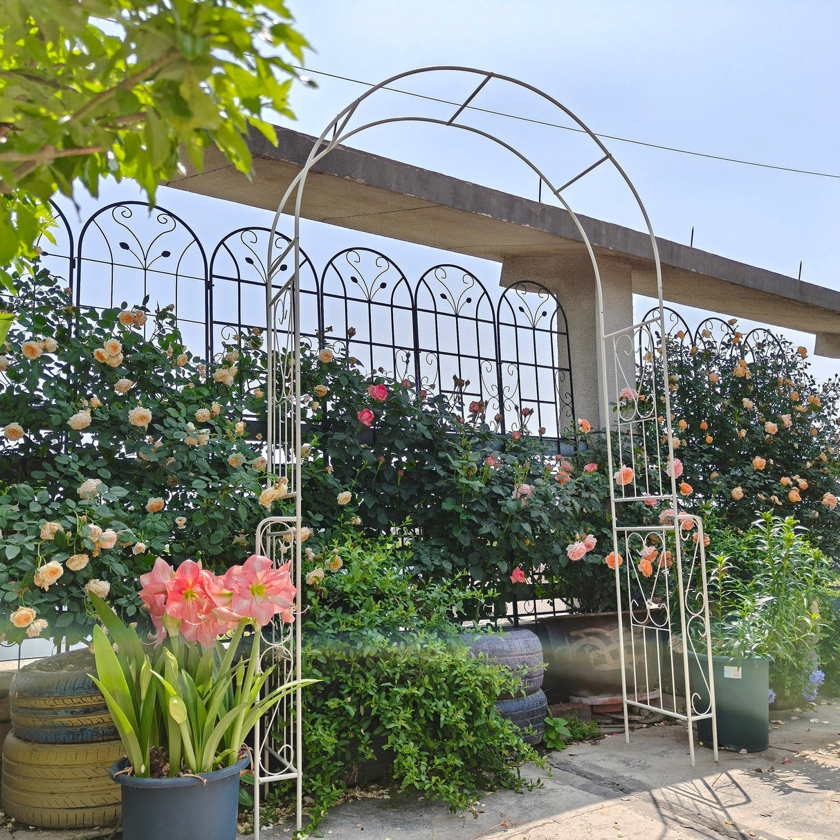 Metal Garden Arch Garden Arbor Trellis Climbing Plants Support Rose Arch Outdoor Arch