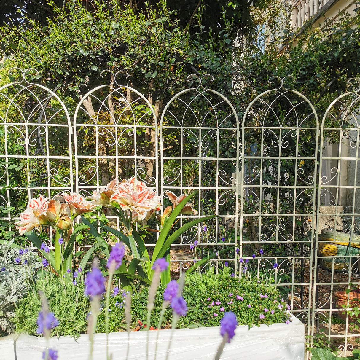 Metal Garden Rustproof Trellis For Climbing Plants Outdoor Flower Support