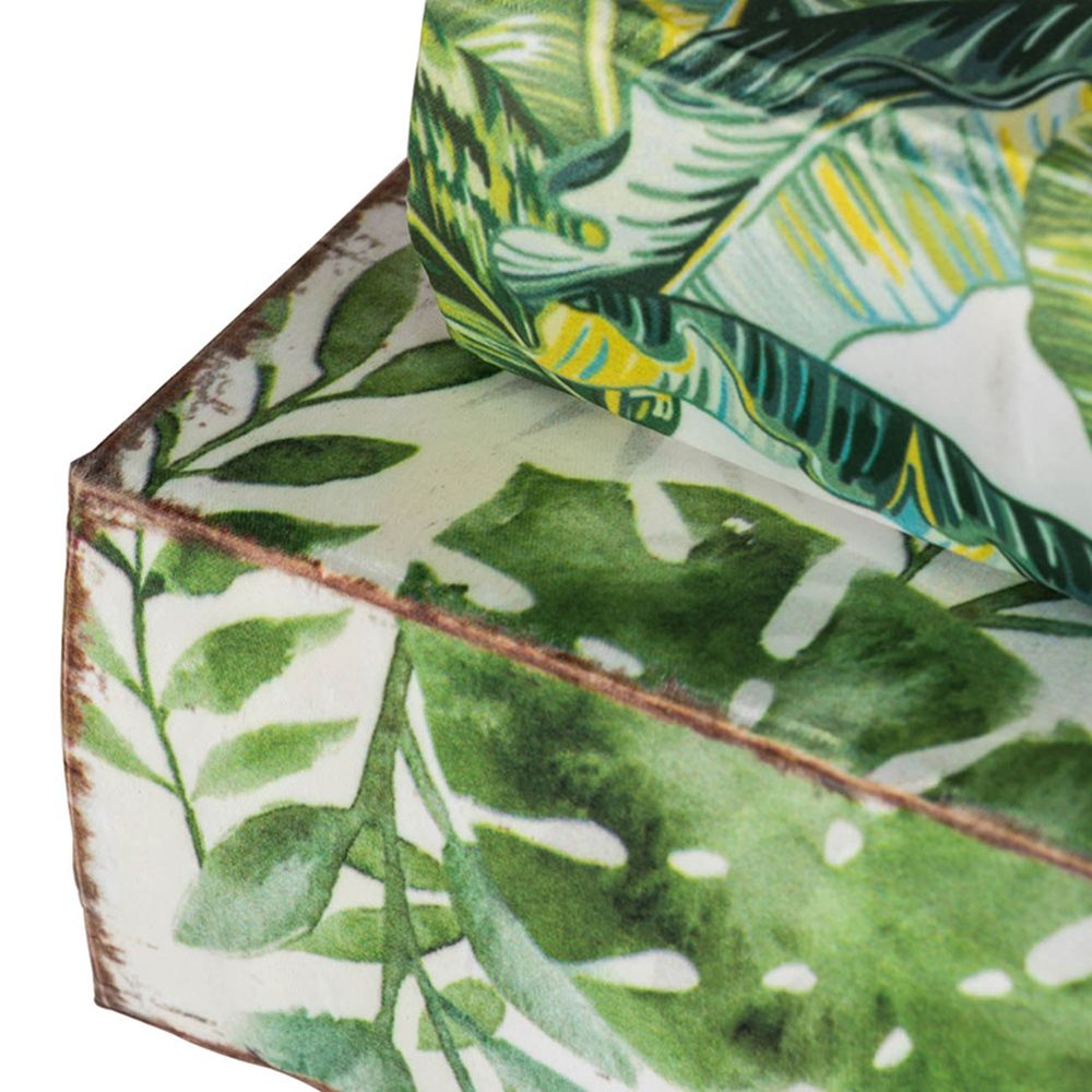 Botanical And Book Boxes (Set of 2) - White / Green