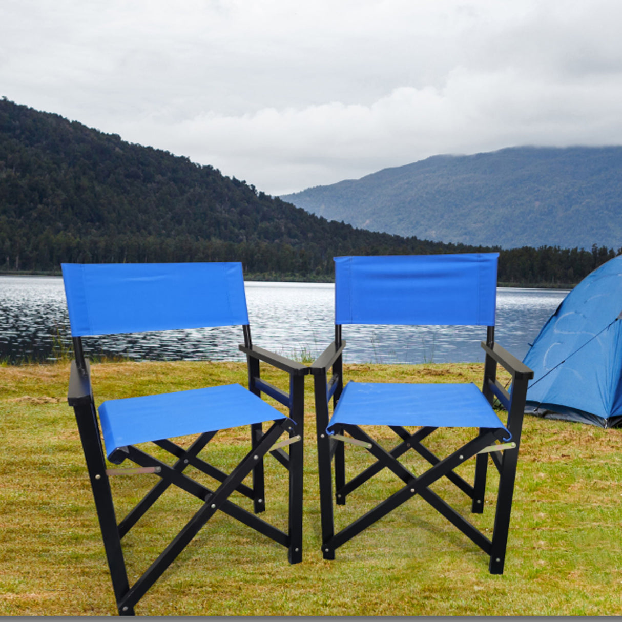 Folding Director Chair Canvas