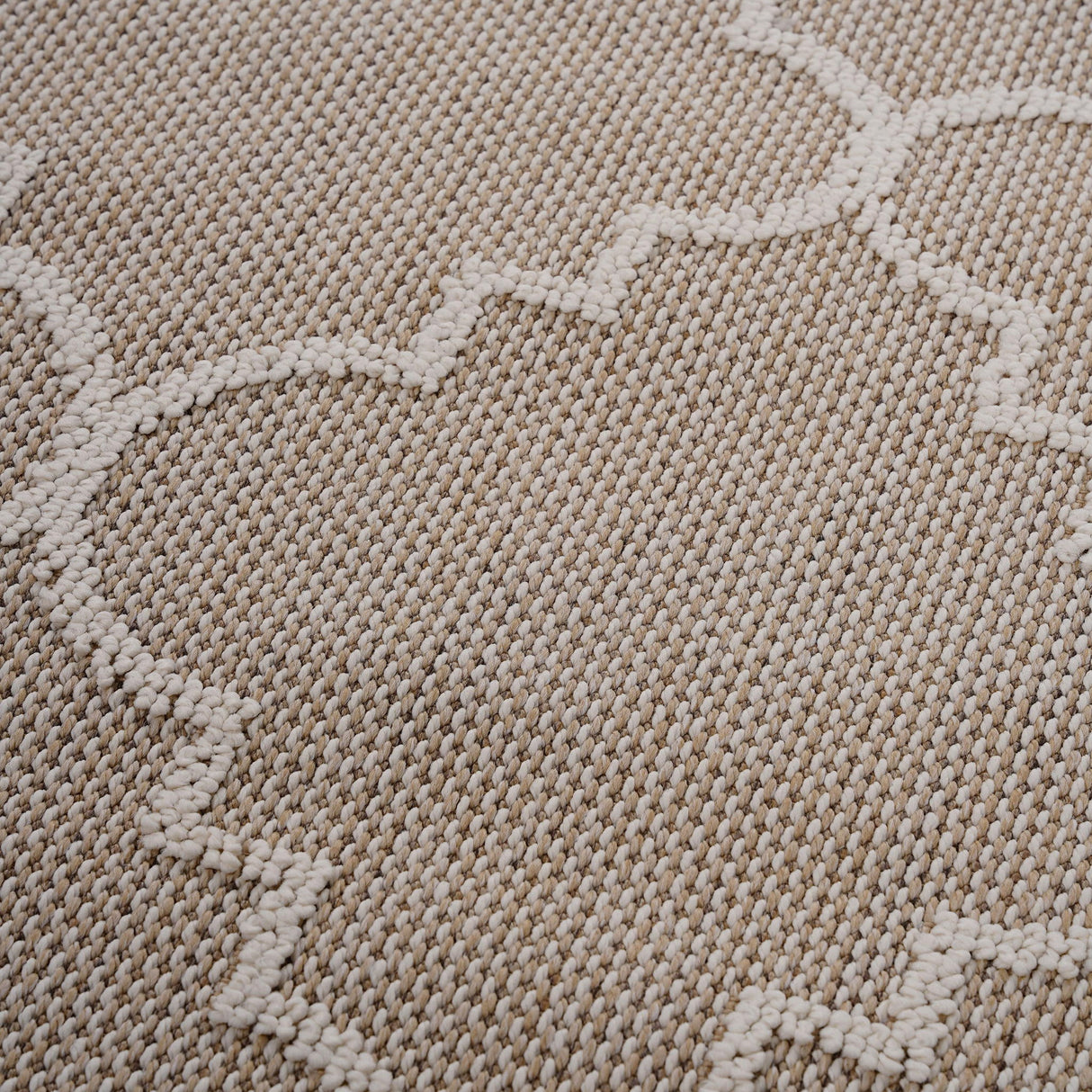 Guros - 4' X 6' Trellis Indoor / Outdoor Area Rug - Ivory