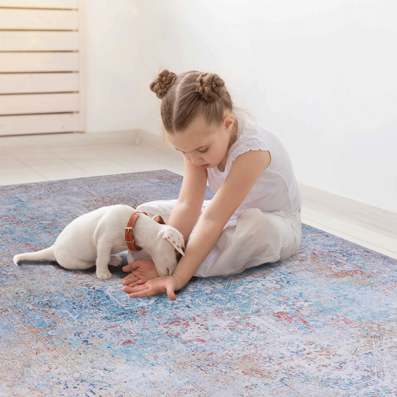RUGS