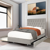 Trundle Pull Out Drawers Storage Upholstered Bed Modern Design No Box Spring Required