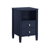 Winston - 2 Drawer Storage Nightstand