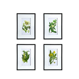 Botanical Flower Wall Art, Home Decor For Living Room Dining Room, Bedroom, Hallway (Set of 4) - White / Blue