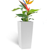 Large Self Watering Flower Pot With Drainage Holes & Inner Tray