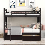Bunk Bed With 2 Drawers