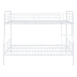 Contemporary Bunk Bed