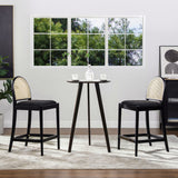 Panama - Curved Back Cane Counter Stool (Set of 2)