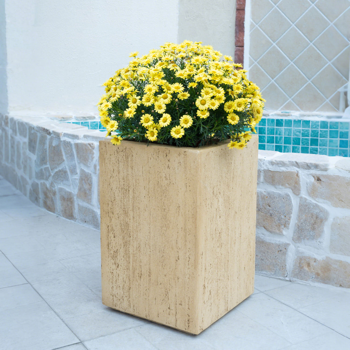 Modern Outdoor Planter
