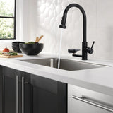 3 In 1 Kitchen Faucet With Press Type Glass Rinser, High Arc Pull Down Sprayer