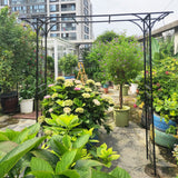 Metal Garden Arch Climbing Plants Support Rose Arch Outdoor - Black