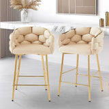 Modern Counter Stools (Set of 2)