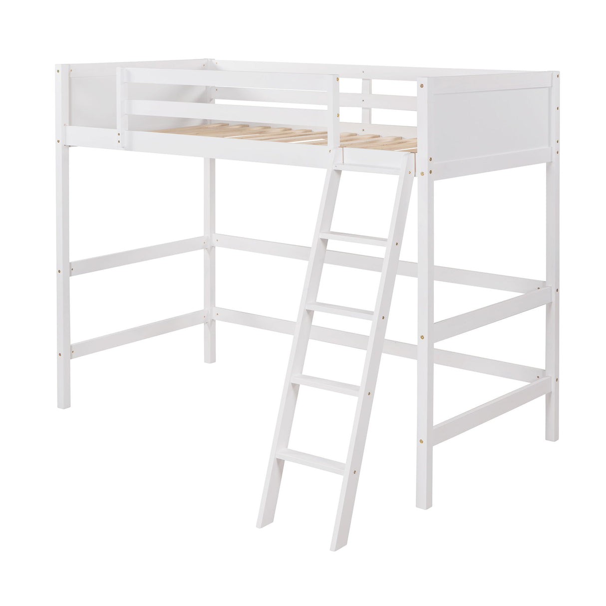 Loft Bed With Ladder