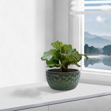 3 Pieces Ceramic Flowerpot