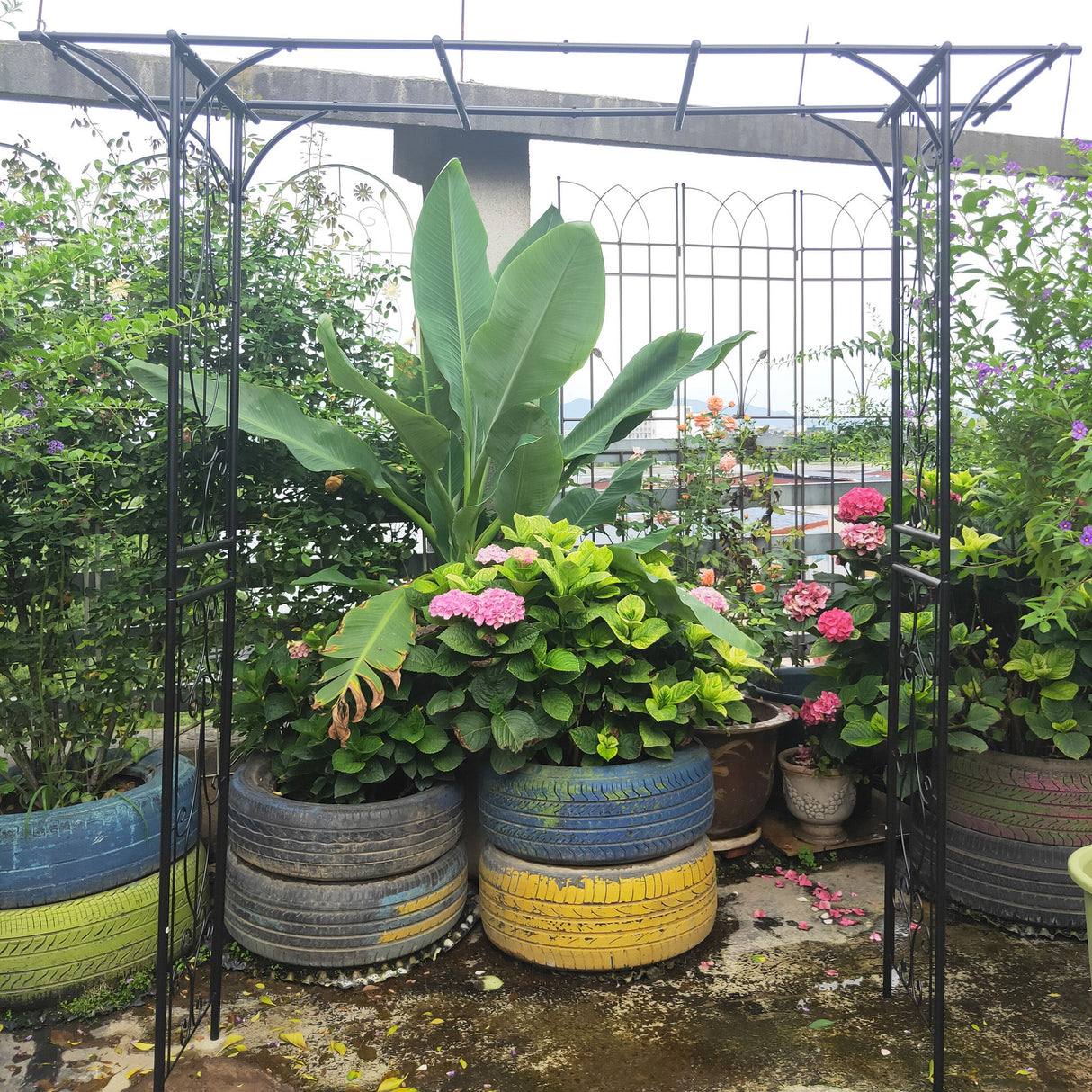 Metal Garden Arch Climbing Plants Support Rose Arch Outdoor - Black