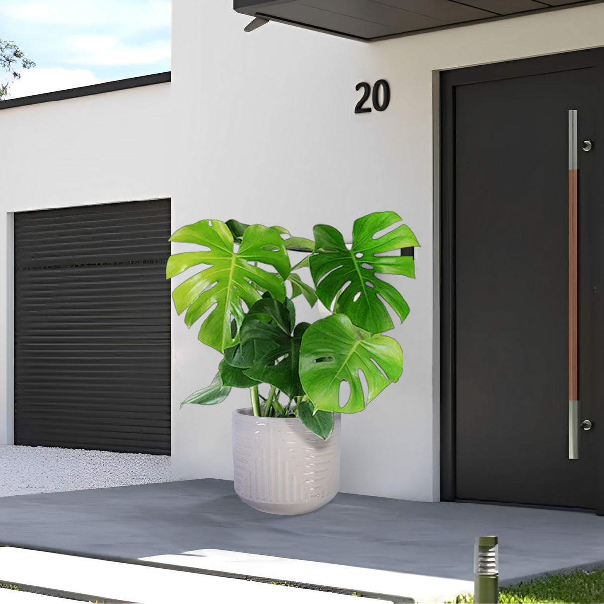 Versatile Flowerpot, Planter For Patio, Garden, Windowsill