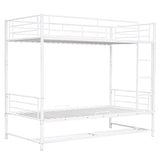 Metal Bunk Bed & Shelf And Guardrails