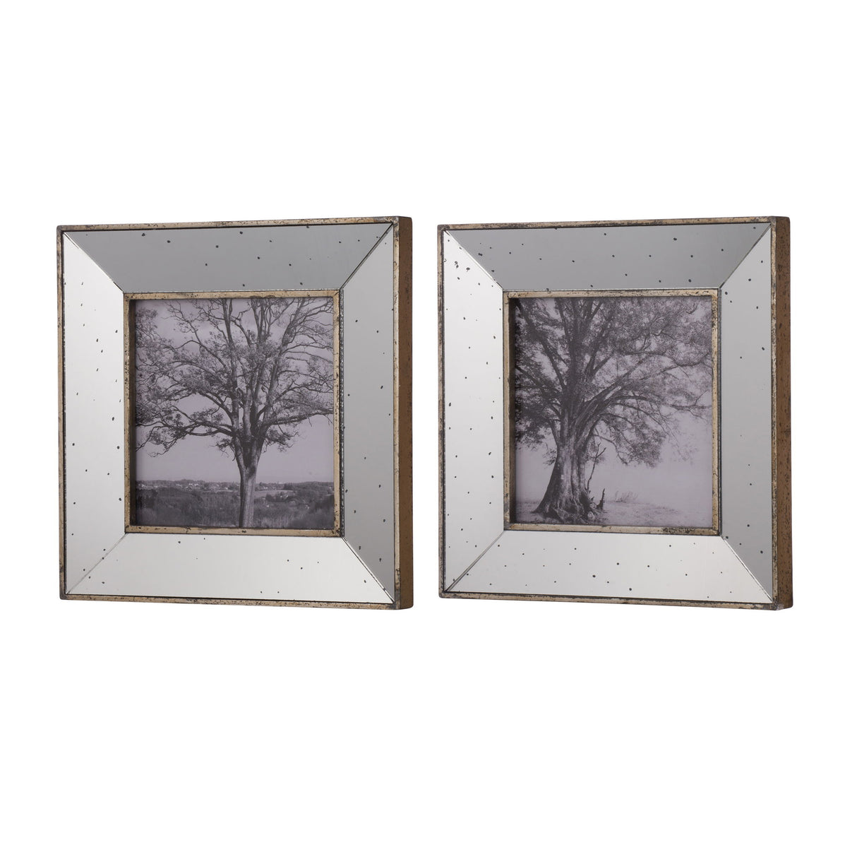 Vintage Reflective Picture Frames (Set of 2) - Silver