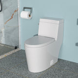 1 Piece Toilet And Soft Closing Seat - White
