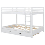 Sturdy Bunk Bed With Ladder