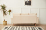 Graceful Design Plush Comfort Sofa