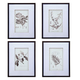 Botanical Wall Art Prints, Home Decor For Living Room Dining Room, Bedroom, Hallway (Set of 4) - White / Black