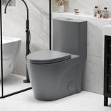 1 Piece Toilet With Tornado Flush, Dual Flush, And ADA Height Comfort Chair