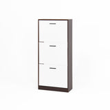 Modern Freestanding Shoe Storage Cabinet With 3 Flip Drawers